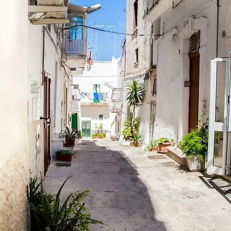 Il Nido Bianco