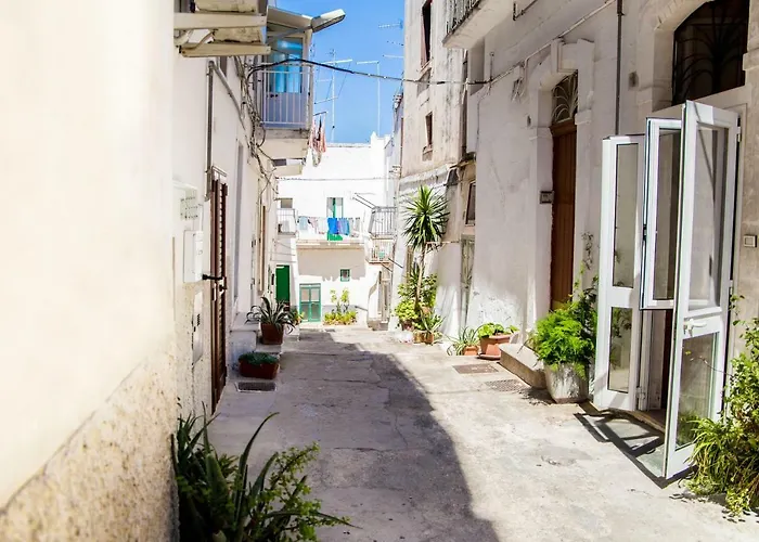 Il Nido Bianco